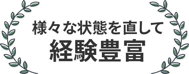 様々な状態を直して経験豊富